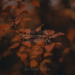 Spa Chill Ambience Music Compilation - Children's Music