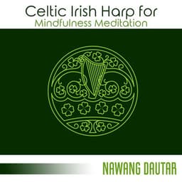 Celtic Irish Harp for Mindfulness Meditation - Nawang Dautar