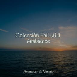 Colección Fall Will Ambience - Mantra para Dormir