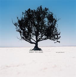 We Are Pilots - Shiny Toy Guns