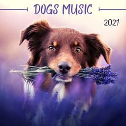 Dogs Music 2021: Relaxing Music to Calm your Pets, Stress Relief Sounds - Uma Gaye