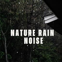 Nature Rain Sounds - Rain Sounds & White Noise