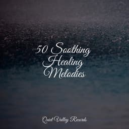 50 Soothing Healing Melodies - Deep Sleep Systems