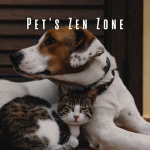 Pet's Zen Zone: Meditative Piano Sounds - Romantic Piano
