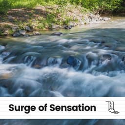 Surge of Sensation - The Water Sleepers
