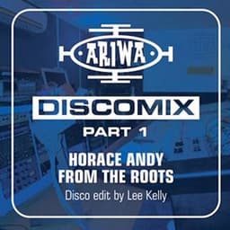 From the Roots - Discomix - Horace Andy