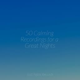 50 Calming Recordings for a Great Nights - Study Music & Sounds