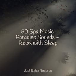 50 Spa Music Paradise Sounds - Relax with Sleep - Healing Yoga Meditation Music Consort