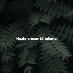 Hazlo crecer tú mismo - Hotel Lounge Soundtracks