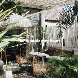 Plants music cozy hours - Cafe de Musica Instrumental