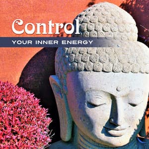 Control Your Inner Energy - Yoga Meditation Guru