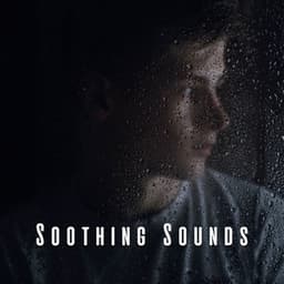 Soothing Sounds: Rainy Day ASMR - Deep Rain Sampling