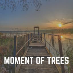 Moment of Trees - Sound of Nature Library