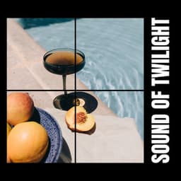 Sound of Twilight - Deep House