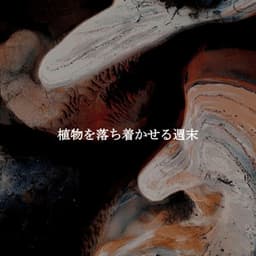 植物を落ち着かせる週末 - Early Morning Chill Out Playlist