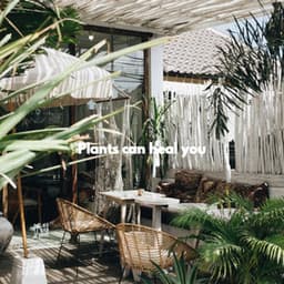 Plants can heal you - Slow Relaxing Jazz