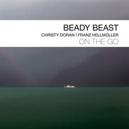 Beady Beast - Christy Doran