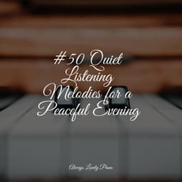 50 Tracks of Harmony - Concentration Study