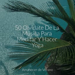50 Olvídate De La Música Para Meditar Y Hacer Yoga - Spa