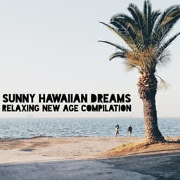 Sunny Hawaiian Dreams: Relaxing New Age Compilation - Sweet Music Relaxation
