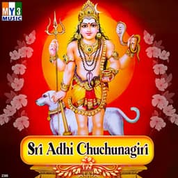 Sri Adhi Chuchunagiri - Vishnu
