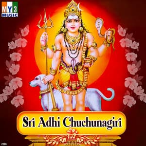 Sri Adhi Chuchunagiri - Vishnu