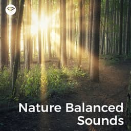 Nature Balanced Sounds: Harmony's Journey - Yoga Music