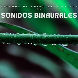 Estados De Ánimo Meditativos En Sonidos Binaurales - Sistemas subliminales de ondas cerebrales de ritmo binaural