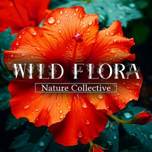Wild Flora - Nature Collective