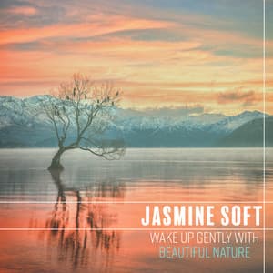 Wake Up Gently with Beautiful Nature: Good Morning Music & Singing Birds, Rain and Forest Sounds - Jasmine Soft