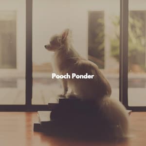 Pooch Ponder - Cheerful Instrumental Cafe Jazz