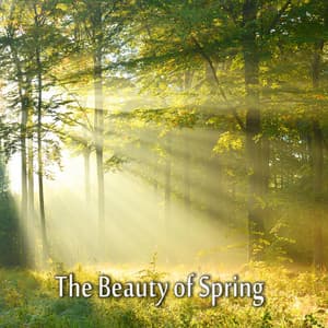 The Beauty of Spring - Better Sleep