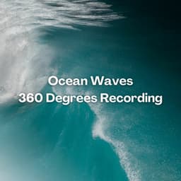 Ocean Waves 360 Degrees Recording - Sea Sounds Channel