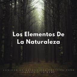 Los Elementos De La Naturaleza: Sonidos De Naturaleza Pacífica Para Calmar A Tu Bebé - Naturaleza FX