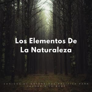 Los Elementos De La Naturaleza: Sonidos De Naturaleza Pacífica Para Calmar A Tu Bebé - Naturaleza FX