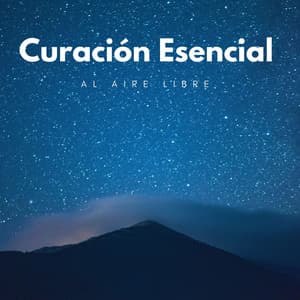 Curación Esencial Al Aire Libre - Registradores de campo al aire libre