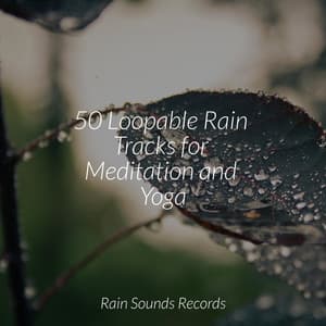 50 Loopable Rain Tracks for Meditation and Yoga - Spa Relaxation