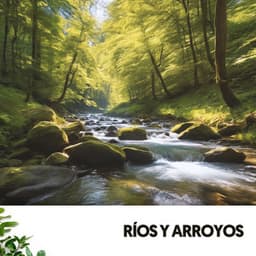 Ríos y Arroyos: Canciones que acarician el alma - Ruido Blanco Hart