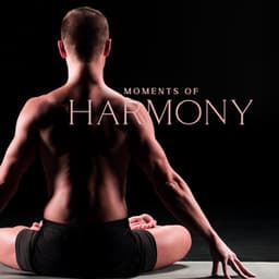 Moments of Harmony: Deep Relaxation Music Therapy for Pure Calm and Serenity - Calming Music Ensemble