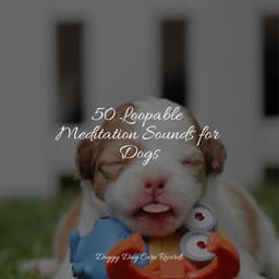 50 Loopable Meditation Sounds for Dogs - Music for Pets Library
