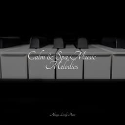 Calm & Spa Music Melodies - Chillout Jazz Collective