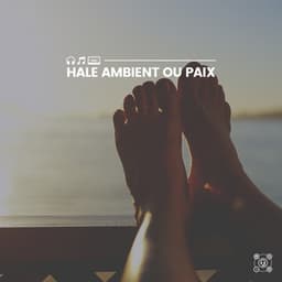 Hale Ambient ou Paix - Le Sommeil