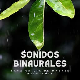 Sonidos binaurales para un día de masaje relajante - Doctor Hz