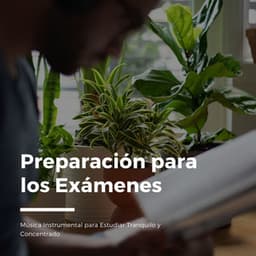 Preparación para los Exámenes: Música Instrumental para Estudiar Tranquilo y Concentrado - Concentracion Examenes