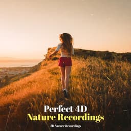 Perfect 4D Nature Recordings - 4D Nature Recordings