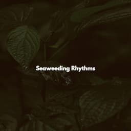 Seaweeding Rhythms - Instrumental Cafe Jazz Radio