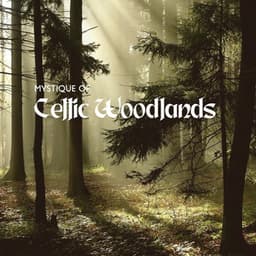 Mystique of Celtic Woodlands: Calming Celtic Music for Meditation and Relaxation, Flute & Harp with Healing Nature Sounds - Catherine Green
