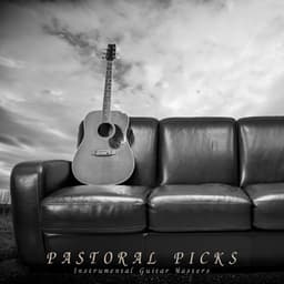 Pastoral Picks: Relaxing Guitar Covers - Instrumental Guitar Masters