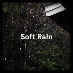 Soft Rain - Soft Soundscapes