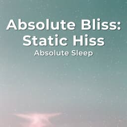 Absolute Bliss: Static Hiss - Absolute Sleep
